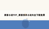 黑客小说TXT_黑客技术小说大全下载免费