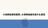 小说网站侵权案例_小说网站被攻击什么意思