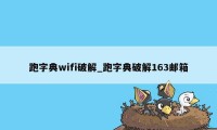 跑字典wifi破解_跑字典破解163邮箱