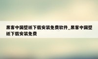 黑客中国壁纸下载安装免费软件_黑客中国壁纸下载安装免费