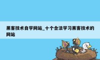 黑客技术自学网站_十个合法学习黑客技术的网站